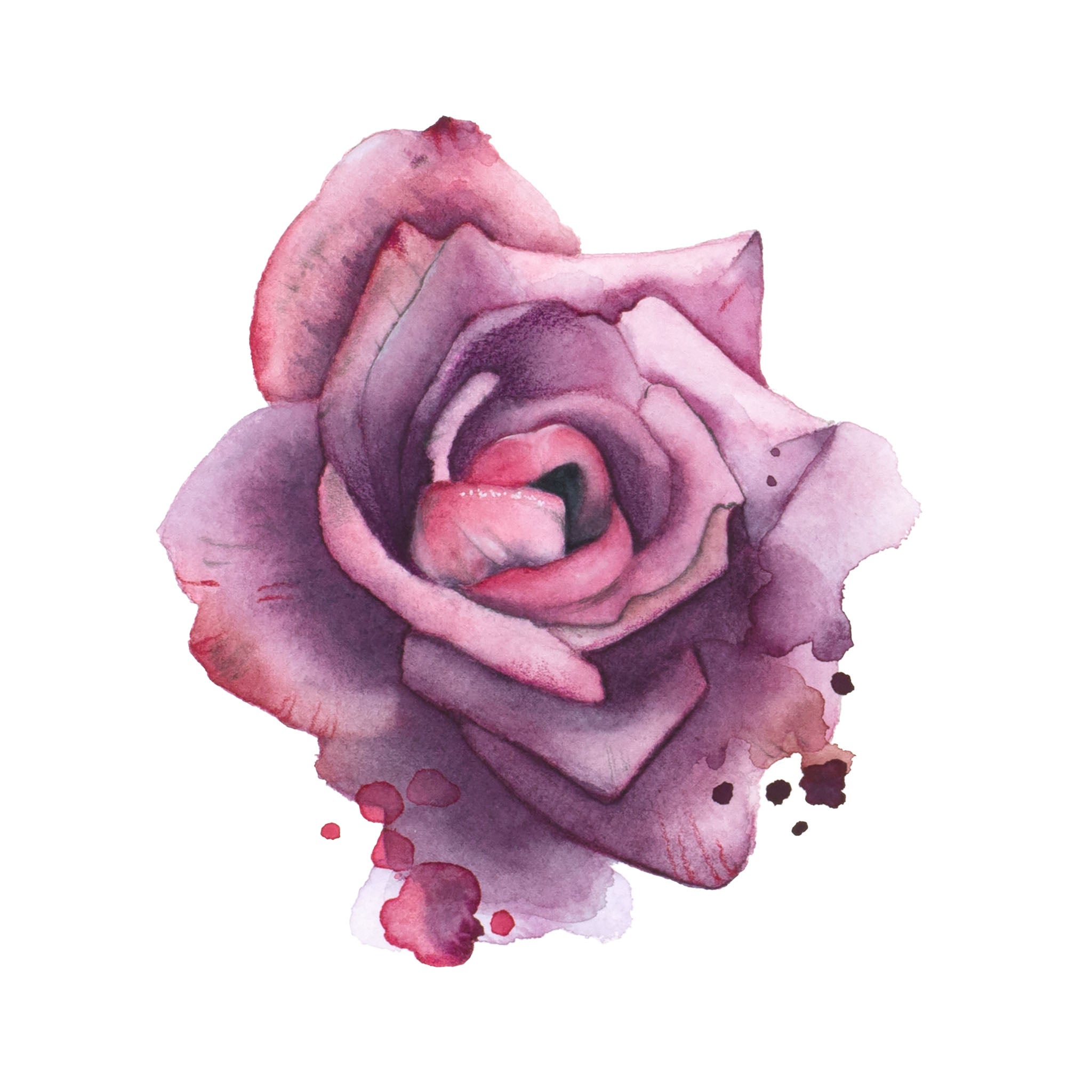 Hand-drawn watercolor print of a bold purple and pink rose with soft bleeding edges – emotionally charged floral wall art by Paula Di Marco