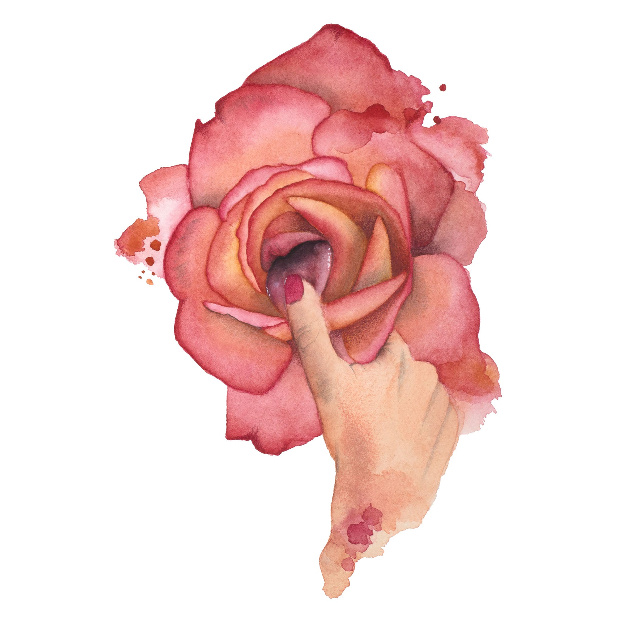 Sensual hand-painted watercolor of a finger touching the center of a blooming red rose – bold floral wall art from the Playful Awakening collection by Paula Di Marco