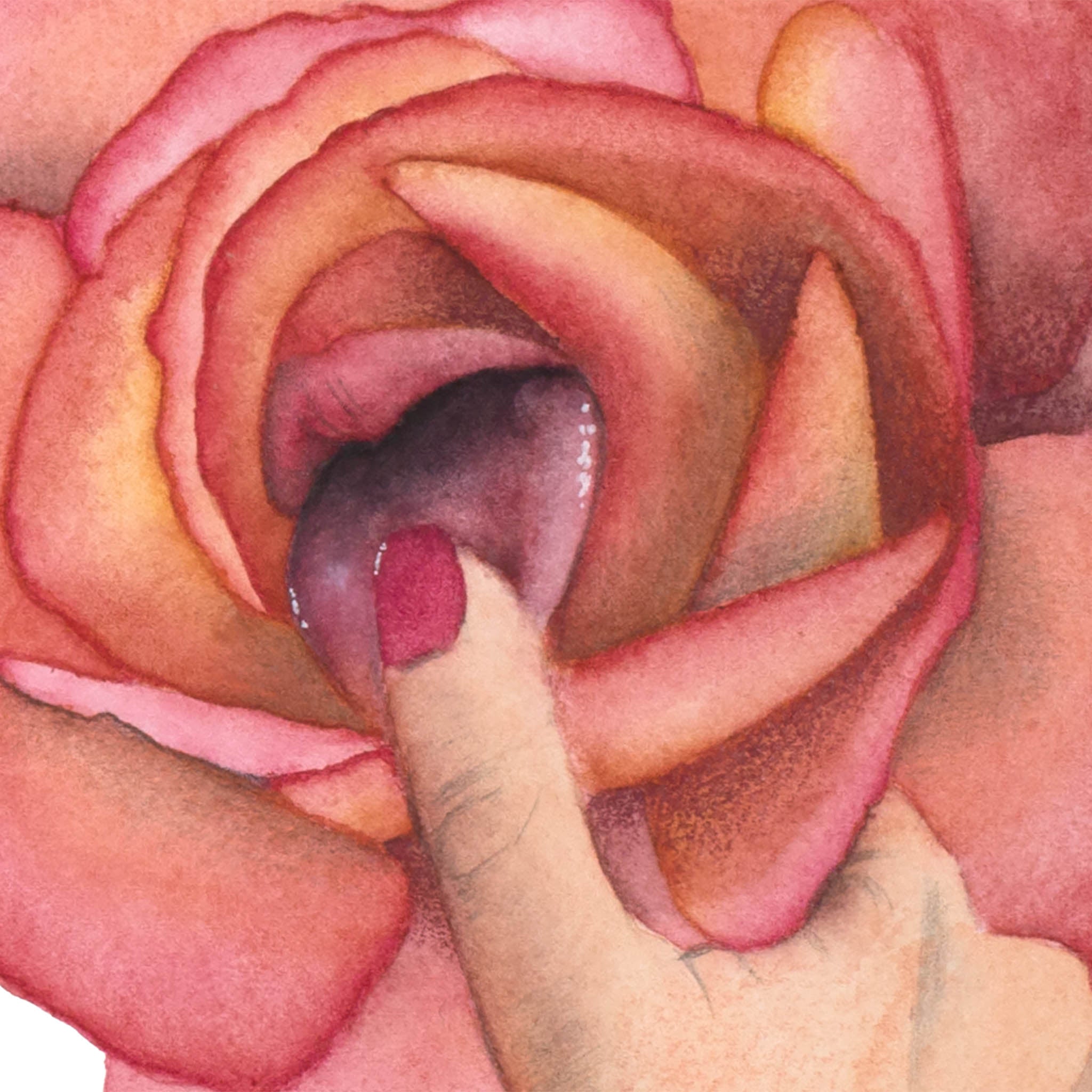 Bold close-up watercolor of a finger gently pressing into the center of a red rose – sensual and emotionally charged wall art from the Playful Awakening series by Paula Di Marco